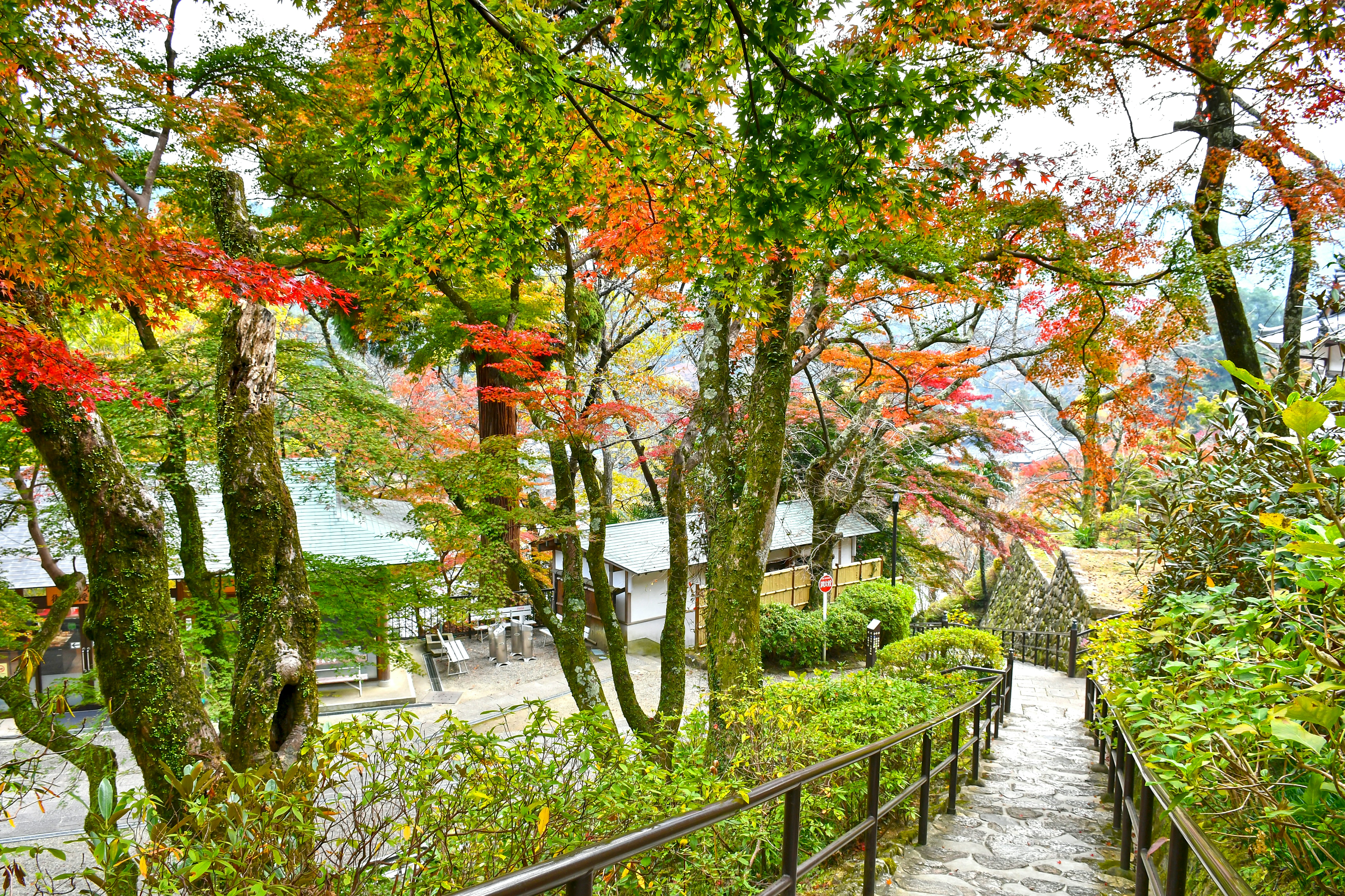 5月の活動